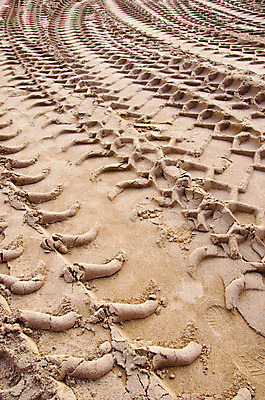 포토 JPG 해외이미지 산업 모래 백그라운드 교통시설 사람없음 야외 쌓기 힘 기계 장비 탐험 업무 바퀴 굴착기 발굴 흔적 만족 화석 짐차 무거움 흙더미 내추럴 개발 땅파기 선로 채석 특별함 해외202004 해외포토 감정 교통 컨셉 모션 자동차 흙 작업 중장비 무게 시설 파일형식 더미 이미지허브
