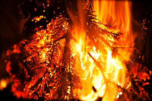 포토 JPG 해외이미지 나무 계절 백그라운드 겨울 오렌지 불 주택 따뜻함 사람없음 목재 빨간색 빛 평화 나뭇가지 뜨거움 더위 벽난로 통나무 전나무 연소 광 석탄 점화 화상 안락 해외202004 해외포토 자연요소 식물 컬러 컨셉 과일 재료 날씨 건물 상처 파일형식 이미지허브