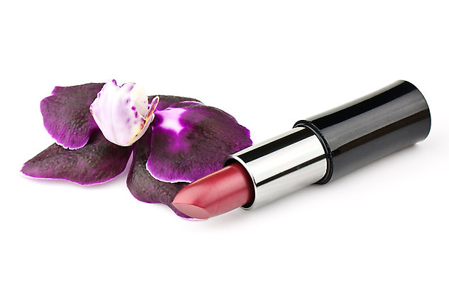 포토 JPG 해외이미지 식물 1 꽃잎 꽃 분홍색 사람없음 빨간색 장미 유행 보라색 검은색 페인트 봄 흰색 신선 화려 막대기 난초 우아함 배열 향기 슛 고립 이국적 해외202004 해외포토 계절 컬러 컨셉 냄새 파일형식 이미지허브