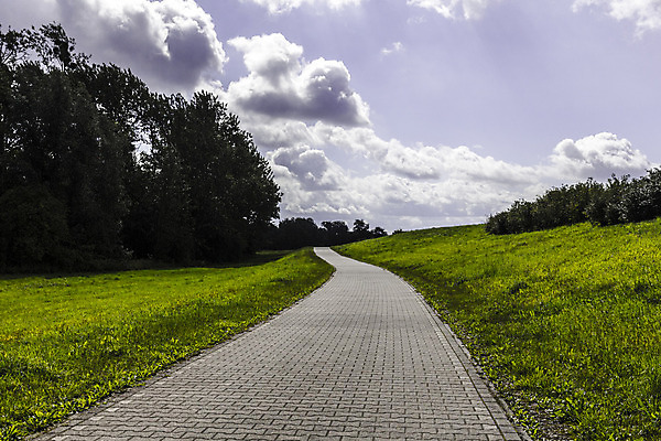 포토 JPG 해외이미지 나무 식물 구름 도로 선 하늘 거리 풍경 사람없음 수확 숲 타일 방법 세피아 직진 수평선 해외202004 해외포토 자연요소 길 농업 교통시설 촬영기법 파일형식 이미지허브