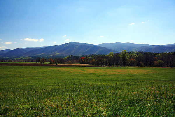 포토 JPG 해외이미지 나무 구름 계절 공원 지구 여행 잎 밭 자연 성공 산 풍경 잔디 사람없음 초록색 파란색 환경 계곡 봄 하이킹 죽음 소나무 연기 질병 정상 숲 에코 생태계 산등성이 장면 북쪽 층 내추럴 뿌연 전국 절정 지질학 평야 해외202004 해외포토 자연요소 식물 공공시설 교육 컬러 컨셉 농업 의학 레저 방향 파일형식 이미지허브