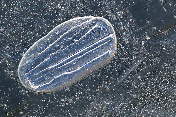 포토 JPG 해외이미지 호수 겨울 사람없음 얼음 거품 연못 사인 해외202004 해외포토 자연요소 계절 파일형식 이미지허브