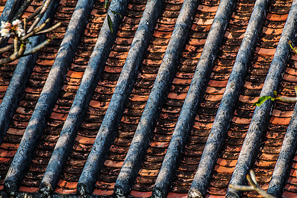 포토 JPG 해외이미지 전통 디자인 외관 아시아 종교 여행 백그라운드 패턴 불교 건축양식 벽지 지붕 추상 주택 프레임 미술 동양인 사람없음 건물 목재 갈색 중국 수확 덮개 시골 도자기 역사 보호 정상 옥상 타일 묘사 질감 정리 점토 옛날 줄서기 스타일 해외202004 해외포토 나무 건축물 건축 나라 컬러 컨셉 무늬 농업 재료 모션 문화예술 인종 뚜껑 파일형식 이미지허브