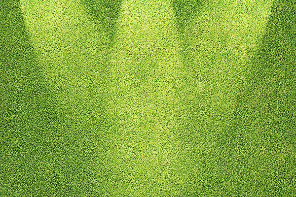 포토 JPG 해외이미지 식물 라이프스타일 공원 스포츠 백그라운드 잎 패턴 밭 골프 자연 벽지 놀이 추상 새로움 프레임 풍경 잔디 사람없음 야외 초록색 여름 환경 축구 봄 성장 신선 땅 허브 질감 내추럴 그리너리 해외202004 해외포토 계절 공공시설 컬러 컨셉 무늬 농업 생활 구기 생태계 파일형식 트랜드컬러 이미지허브