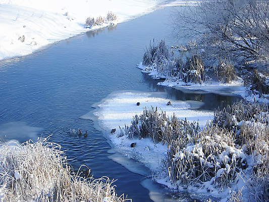포토 JPG 해외이미지 나무 겨울 자연 조류 오리 그림자 풍경 사람없음 파란색 빛 강 햇빛 맑음 얼음 흰색 저수지 개울 기아 서리 1월 해외202004 해외포토 자연요소 식물 동물 계절 컬러 날씨 태양 날짜 사회이슈 생태계 파일형식 이미지허브