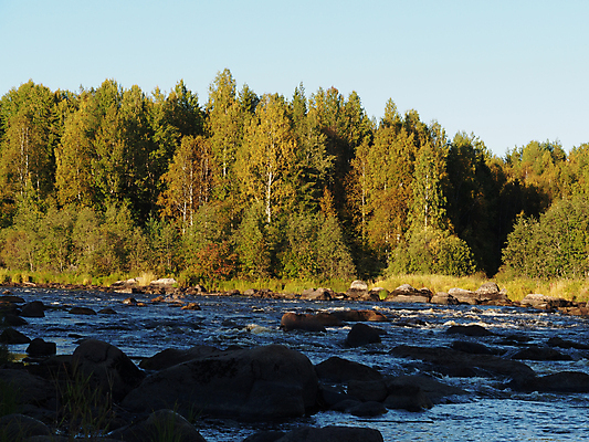 포토 JPG 해외이미지 나무 구름 영어 공원 호수 섬 자연 잉글랜드 주택 풍경 잔디 사람없음 옆모습 초록색 물 여름 강 정원 시골 숲 강가 땅 맨션 원예 러시아 조경 장면 흐림 전국 정중 해외202004 해외포토 자연요소 식물 문자 계절 공공시설 유럽 뷰포인트 컬러 컨셉 날씨 영국 취미 건물 생태계 파일형식 이미지허브