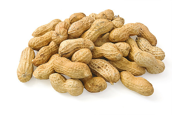 포토 JPG 해외이미지 건조 사람없음 갈색 껍질 땅콩 해외포토 컬러 견과류 파일형식 이미지허브
