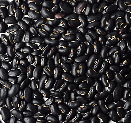 포토 JPG 해외이미지 식물 음식 백그라운드 패턴 농업 다이어트 채소 재료 추상 콩 건조 건강 요리 씨앗 동양인 사람없음 농작물 검은색 저녁식사 펼침 변화 플랫 낟알 먹기 유기농 질감 완두콩 날것 내추럴 단백질 식용 채식주의자 해외202004 해외포토 웰빙 산업 컬러 컨셉 무늬 모션 곡류 인종 식사 채식 영양소 파일형식 이미지허브