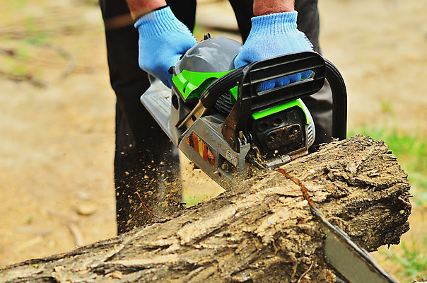 포토 JPG 해외이미지 나무 직업 손 산업 포즈 자연 노동자 수염 사람 성인 사람없음 야외 목재 빛 갈색 힘 기계 일몰 장비 공구 소나무 업무 칼날 숲 헬멧 장작 자르기 통나무 먼지 도끼 잡동사니 벌목 솜씨 수목 재주꾼 전기톱 톱밥 해외202004 해외포토 식물 컬러 재료 모션 신체부위 노을 도구 작업 보호장비 가루 생태계 톱 파일형식 이미지허브