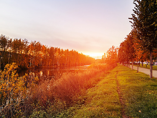 포토 JPG 해외이미지 나무 식물 구름 계절 공원 백그라운드 잎 오렌지 자연 하늘 파노라마 풍경 사람없음 야외 목재 빨간색 초록색 물 강 컬러풀 태양 노란색 환경 침묵 일몰 가을 연못 황금 러시아인 해외202004 해외포토 자연요소 서양인 공공시설 컬러 과일 재료 촬영기법 노을 소리 생태계 파일형식 이미지허브