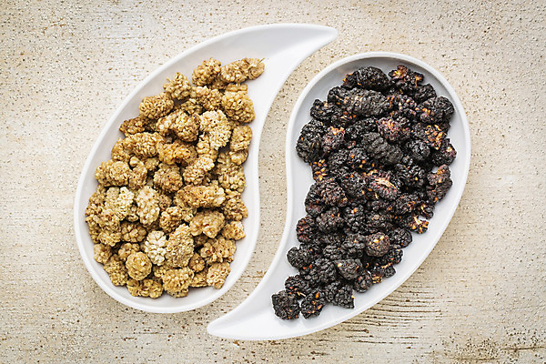 포토 JPG 해외이미지 스튜디오촬영 그릇 실내 사람없음 건과일 오디 베이지색배경 슈퍼푸드 해외202004 해외포토 식기 열매 백그라운드 과일 건조 내부 건강식품 베이지색 파일형식 이미지허브