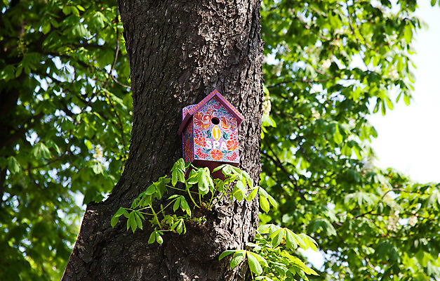 포토 JPG 해외이미지 나무 식물 분홍색 잎 창문 자연 지붕 주택 사람없음 목재 초록색 여름 상자 컬러풀 스파 봄 성장 나뭇가지 구멍 둥지 숲 오브젝트 해외202004 해외포토 계절 컬러 재료 건물 생태계 파일형식 이미지허브