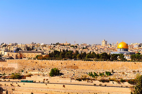 포토 JPG 해외이미지 나무 기독교 종교 문화 벽 여행 십자가 건축양식 하늘 지붕 벽돌 산 사람없음 건물 파란색 교회 탑 계곡 성경 도시 사찰 황금 위험 이슬람교 묘사 올리브 모스크 타운 장례 신앙심 예루살렘 옛날 유태교 이스라엘 장례식 팔레스타인 해외202004 해외포토 식물 건축물 열매 건축 컬러 컨셉 중동 종교용품 종교건축 서아시아 파일형식 이미지허브