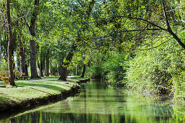 포토 JPG 해외이미지 나무 식물 계절 공원 호수 여행 백그라운드 잎 자연 벽지 휴가 휴식 파노라마 풍경 사람없음 초록색 물 강 봄 버드나무 생태학 해외202004 해외포토 자연요소 공공시설 교육 컬러 컨셉 촬영기법 생태계 파일형식 이미지허브