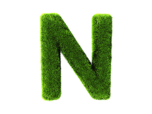 포토 JPG 해외이미지 식물 알파벳 실루엣 백그라운드 컨셉 일러스트 텍스트 학교 자연 추상 건강 창조 미술 잔디 사람없음 초록색 여름 태양 3D 꼬리표 환경 화목 봄 유치원 성장 흰색 신선 N 보호 편지 심볼 만들기 타입 내추럴 고립 생태학 효과 해외202004 해외포토 자연요소 영어 계절 교육 컬러 무늬 모션 문화예술 촬영기법 라벨 디지털합성 생태계 파일형식 이미지허브