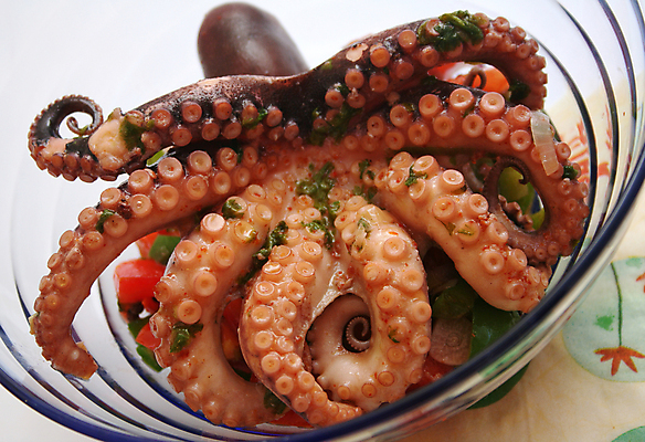 포토 JPG 해외이미지 음식 채소 건강 어류 사람없음 식당 식사 저녁식사 샐러드 문어 점심식사 해외202004 해외포토 연체동물 상점 수중동물 파일형식 이미지허브