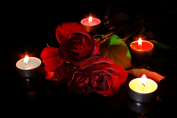 포토 JPG 해외이미지 꽃잎 꽃 꽃다발 백그라운드 자연 휴식 함께함 건강 사랑 사람없음 장식 빨간색 물 빛 장미 검은색 스파 물방울 개화 고급 떨어짐 야간 번개 소중 아로마테라피 테라피 연소 광 돌봄 화상 해외202004 해외포토 자연요소 식물 감정 컬러 컨셉 모션 날씨 뷰티 상처 생태계 파일형식 이미지허브