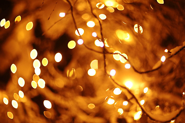 포토 JPG 해외이미지 나무 계절 공원 여행 백그라운드 크리스마스 겨울 자연 추상 휴가 새해 풍경 사람없음 야외 목재 장식 빛 노란색 냉동 얼음 화환 어둠 추위 흰색 나뭇가지 축하 눈송이 황금 야간 저녁 숲 신비 북극 서리 보케 마법 내추럴 눈내림 해외202004 해외포토 자연요소 식물 공공시설 기념일 꽃 컬러 컨셉 무늬 재료 눈_날씨 극지방 생태계 파일형식 이미지허브