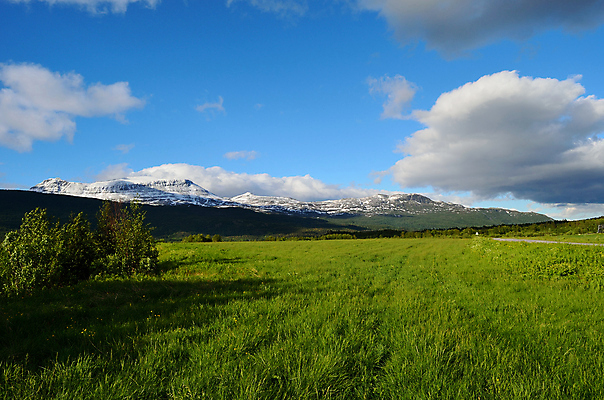 포토 JPG 해외이미지 나무 구름 유럽 백그라운드 자연 하늘 산 파노라마 노르웨이 풍경 사람없음 야외 초록색 여름 파란색 햇빛 침묵 활발 원형 황무지 숲 북극 언덕 그림 2014년 북쪽 내추럴 북극해 웅장함 절정 해외202004 해외포토 자연요소 도형 식물 계절 나라 바다 컬러 컨셉 촬영기법 태양 소리 연도 극지방 방향 생태계 파일형식 이미지허브