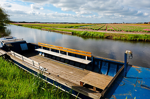 포토 JPG 해외이미지 구름 계절 꽃 유럽 잎 꽃무늬 패턴 밭 농업 자연 하늘 주택 풍경 잔디 사람없음 야외 목재 물 여름 햇빛 태양 농가 농장 농경지 정원 계곡 봄 튤립 수확 성장 벚꽃 시골 침대 보트 백합 땅 네덜란드 운하 세련 해외202004 해외포토 자연요소 나무 식물 나라 산업 가구 무늬 배_교통 재료 건물 생태계 파일형식 이미지허브
