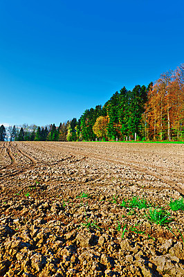 포토 JPG 해외이미지 나무 식물 계절 유럽 여행 잎 밭 농업 자연 하늘 아침 산 씨앗 풍경 잔디 사람없음 야외 초록색 파란색 농작물 농장 농경지 봄 수확 성장 시골 숲 그늘 땅 만취 뿌리기 스위스 언덕 알프스 땅바닥 밭일 목가 세련 해외202004 해외포토 주간 나라 산업 컬러 모션 바닥 생태계 술취함 파일형식 이미지허브