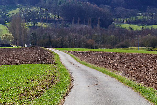 포토 JPG 해외이미지 나무 여행 백그라운드 자연 풍경 사람없음 초록색 환경 시골 엽서 룩셈부르크 해외202004 해외포토 식물 컬러 편지 생태계 서유럽 파일형식 이미지허브