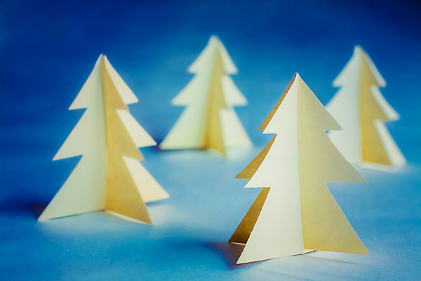 포토 JPG 해외이미지 나무 전통 디자인 계절 종이 백그라운드 크리스마스 겨울 자연 휴가 기념 선물 사람없음 장식 초록색 크리스마스트리 노란색 희망 재활용 흰색 축하 소나무 신용카드 12월 연도 에코 생태계 심플 전나무 판지 오리지널 핸드메이드 미니멀리스트 미니멀 해외202004 해외포토 식물 기념일 감정 컬러 컨셉 금융 환경 날짜 친환경 파일형식 이미지허브