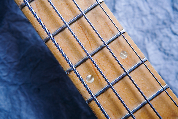 포토 JPG 해외이미지 줄 음악 단풍 놀이 사람없음 목재 수확 기구 끈 목 베이스 옛날 정물화 중고 해외202004 해외포토 나무 잎 농업 재료 현악기 문화예술 신체부위 그림 파일형식 이미지허브