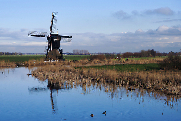 포토 JPG 해외이미지 자연 지팡이 사람없음 물 반사 풍차 운하 방앗간 보호구역 채널 해외202004 해외포토 자연요소 생태계 구역 파일형식 이미지허브