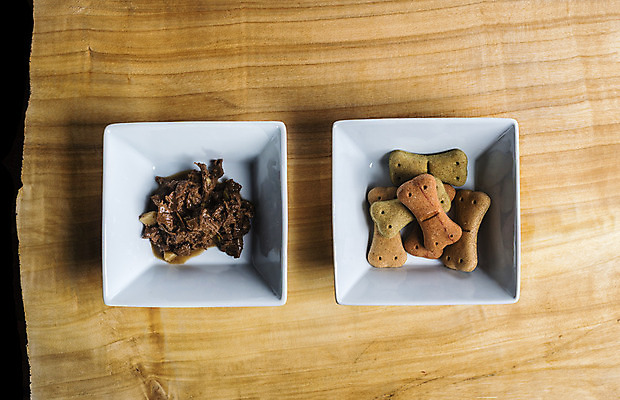 포토 JPG 해외이미지 모양 접시 디자인 산업 음식 백그라운드 뼈 서브 건조 요리 사람없음 목재 가로 물 반려동물 갈색 노란색 쿠키 요식업 식사 대접 개 작음 자르기 매듭 송곳니 세련 차단 해외202004 해외포토 자연요소 나무 동물 식기 컬러 재료 포유류 모션 디저트 치아 크기 파일형식 이미지허브