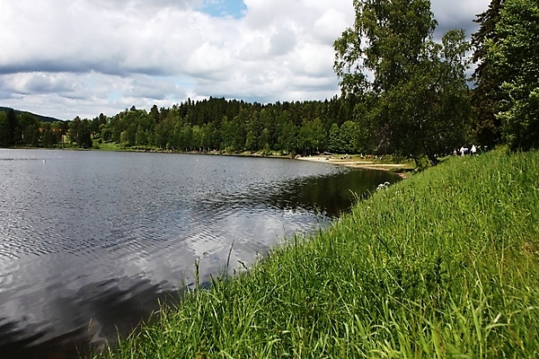 포토 JPG 해외이미지 나무 식물 계절 물결 파도 바다 백그라운드 꽃무늬 밭 농업 자연 하늘 휴가 풍경 사람없음 야외 초록색 물 여름 햇빛 태양 평화 정원 맑음 화목 시골 신선 장면 해외202004 해외포토 자연요소 꽃 산업 컬러 컨셉 무늬 날씨 생태계 파일형식 이미지허브