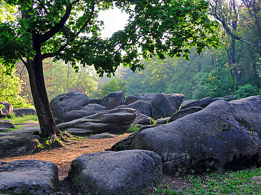 포토 JPG 해외이미지 나무 계절 여행 백그라운드 자연 하늘 휴가 풍경 사람없음 야외 초록색 여름 파란색 햇빛 갈색 평화 환경 침묵 봄 시골 숲 내추럴 옛날 해외202004 해외포토 식물 컬러 컨셉 태양 소리 생태계 파일형식 이미지허브
