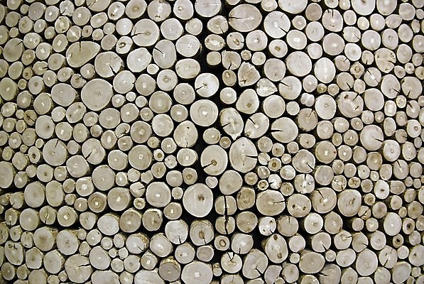 포토 JPG 해외이미지 백그라운드 자연 탁자 사람없음 목재 장식 나뭇가지 원형 자르기 통나무 치수 내추럴 해외202004 해외포토 도형 나무 가구 재료 모션 생태계 파일형식 이미지허브