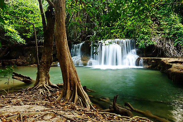 포토 JPG 해외이미지 나무 식물 공원 여행 백그라운드 잎 모션 태국 자연 산 어류 풍경 사람없음 야외 목재 초록색 물 여름 환경 폭포 젖음 흐름 가을 바위 신선 개울 숲 실크 당구 내추럴 전국 해외202004 해외포토 자연요소 계절 공공시설 아시아 컬러 컨셉 재료 강 구기 수중동물 돌_바위 직물 생태계 파일형식 이미지허브