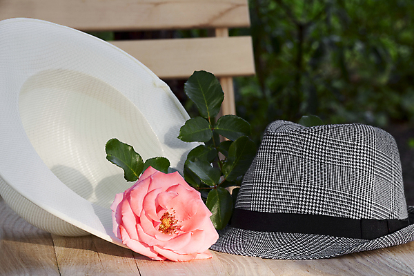 포토 JPG 해외이미지 나무 식물 디자인 꽃 가구 잎 자연 탁자 휴식 주택 사람없음 야외 목재 장식 빨간색 초록색 여름 햇빛 소풍 정원 맑음 봄 시골 신선 원예 해외202004 해외포토 계절 컬러 생활용품 컨셉 재료 날씨 취미 건물 태양 야외활동 생태계 파일형식 이미지허브