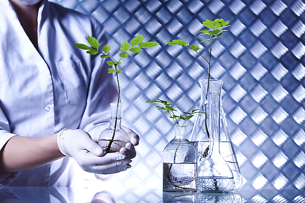 포토 JPG 해외이미지 식물 여자 실내 실험 한명 들기 상반신 성인 앞모습 액체 화학 실험실 플라스크 비커 화학실험 성인여자한명만 해외202004 해외포토 1 뷰포인트 과학 모션 실험기구 사람 내부 여자한명만 성인여자만 파일형식 이미지허브