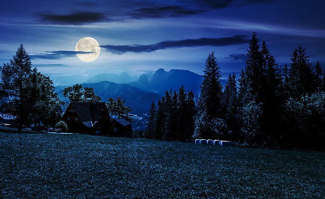 포토 JPG 해외이미지 나무 공원 별 백그라운드 자연 하늘 산 거리 풍경 사람없음 야외 여름 빛 마을 어둠 보름달 달 야간 숲 가득함 질감 산등성이 해군 층 이웃 폴란드 삼림지대 해외202004 해외포토 자연요소 식물 계절 공공시설 유럽 군대 생태계 파일형식 이미지허브