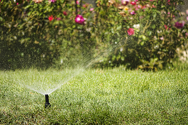 포토 JPG 해외이미지 식물 백인 계절 농업 자연 주택 풍경 잔디 사람없음 야외 초록색 물 여름 환경 정원 맑음 봄 장비 젖음 성장 물방울 신선 액체 떨어짐 뿌리기 원예 조경 분무기 시스템 유지 돌봄 샤워실 스프링쿨러 원예사 세련 해외202004 해외포토 자연요소 서양인 직업 산업 컬러 컨셉 모션 날씨 취미 건물 생태계 샤워시설 파일형식 이미지허브