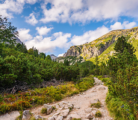 포토 JPG 해외이미지 나무 식물 구름 계절 공원 도로 길 야생동물 자국 자연 하늘 산 풍경 경사 사람없음 야외 초록색 여름 파란색 햇빛 계곡 침묵 산책 하이킹 바위 황무지 정상 숲 오솔길 땅 언덕 지역 암초 침엽수 방법 슬로바키아 절정 해외202004 해외포토 자연요소 동물 공공시설 유럽 컬러 교통시설 레저 휴식 태양 소리 돌_바위 생태계 파일형식 이미지허브