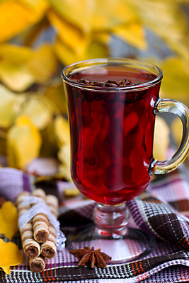 포토 JPG 해외이미지 전통 계절 음료 음식 잎 과일 유리 탁자 건조 사람없음 목재 장식 컵 빨간색 세로 갈색 와인 침묵 가을 흰색 축하 뜨거움 양념 액체 막대기 닫기 차 사과 향신료 아로마 향 시나몬 뱅쇼 해외202004 해외포토 나무 식물 식기 컬러 가구 컨셉 재료 모션 재질 주류 소리 향미료 파일형식 이미지허브