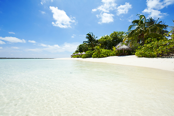 포토 JPG 해외이미지 나무 물결 모래 파도 바다 섬 여행 백그라운드 자연 하늘 휴가 휴식 손바닥 풍경 사람없음 물 여름 파란색 햇빛 태양 침묵 만 휴양지 태평양 코코넛 석호 몰디브 이국적 터키석 파라다이스 해외202004 해외포토 자연요소 식물 손 계절 아시아 컬러 컨셉 과일 소리 장소 보석 생태계 파일형식 이미지허브