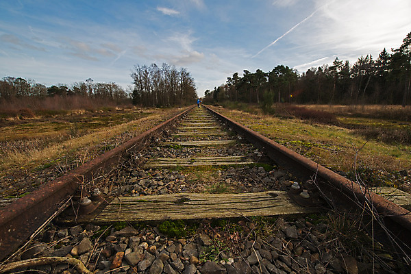 포토 JPG 해외이미지 식물 선 독일 사람없음 경계선 행운 동물상 보호구역 선로 자취 해외202004 해외포토 유럽 컨셉 조형물 경계 구역 파일형식 이미지허브