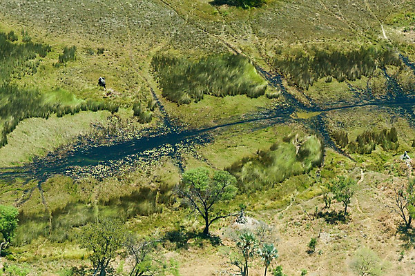 포토 JPG 해외이미지 건축물 바다 섬 여행 교통시설 아프리카 자연 안테나 풍경 사람없음 건물 관광지 하이앵글 농장 도시 숲 암초 타운 스카이라인 랜드마크 열대기후 조감도 탄자니아 해외202004 해외포토 건축 나라 뷰포인트 교통 농업 통신 시설 생태계 파일형식 이미지허브