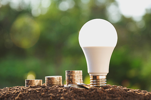 포토 JPG 해외이미지 나무 식물 디자인 백그라운드 컨셉 돈 비즈니스 전구 자연 유리 성공 아이디어 창조 사람없음 금융 경제 빛 쌓기 동전 힘 장비 에너지 성장 흰색 램프 시장 재산 황금 주식 투자 혁명 광 해외202004 해외포토 컬러 모션 재질 조명 생태계 파일형식 이미지허브