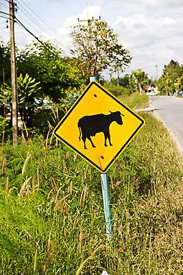 포토 JPG 해외이미지 아이콘 도로 여행 백그라운드 컨셉 일러스트 하늘 아이디어 경고 안전 사람없음 노란색 손상 정보 고속도로 소 변화 위험 사건 심볼 사인 예방 도로표지판 보안 공포 조심 문제 감탄 경보 위기 조언 주목 해외202004 해외포토 길 컬러 포유류 교통시설 표지판 파일형식 이미지허브