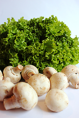 포토 JPG 해외이미지 식물 계절 음식 조각 백그라운드 잎 다이어트 채소 재료 자연 탁자 건강 사람없음 초록색 농작물 주방 식사 버섯 활발 샐러드 수확 신선 시장 맛 상추 먹기 유기농 날것 광합성 숙성 채식주의자 카피스페이스 해외202004 해외포토 웰빙 컬러 가구 컨셉 농업 모션 공백 생태계 채식 파일형식 이미지허브