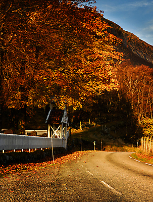 포토 JPG 해외이미지 나무 도로 잎 자연 북유럽 노르웨이 풍경 사람없음 야외 울타리 가을 스칸디나비아 해외202004 해외포토 식물 계절 유럽 길 교통시설 담장 생태계 파일형식 이미지허브