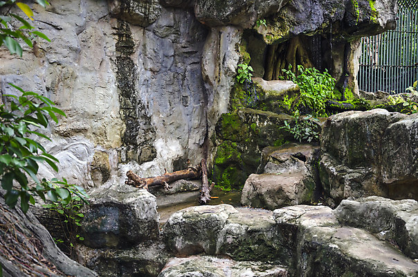 포토 JPG 해외이미지 나무 전통 디자인 옷 계절 공원 꽃 여행 백그라운드 패턴 밭 비즈니스 건축양식 바지 자연 탁자 표면 휴가 주택 프레임 미술 풍경 사람없음 야외 내부 건물 목재 장식 초록색 파란색 빛 청춘 태양 갈색 유행 어둠 놀람 공백 폭포 수확 흰색 직물 도시 면 숲 남색 싱글 질감 복고 땀 캔버스 섬유 내추럴 그런지 옛날 스타일 해외202004 해외포토 자연요소 식물 건축물 공공시설 건축 감정 컬러 가구 컨셉 무늬 농업 재료 하의 문화예술 표정 생태계 파일형식 이미지허브