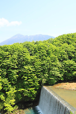 포토 JPG 해외이미지 나무 구름 자연 하늘 산 사람없음 야외 목재 초록색 일본 신선 내추럴 해외202004 해외포토 자연요소 식물 아시아 컬러 재료 생태계 파일형식 이미지허브