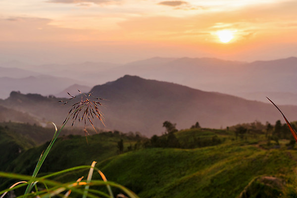 포토 JPG 해외이미지 구름 공원 아시아 여행 겨울 오렌지 태국 자연 하늘 산 풍경 사람없음 야외 초록색 컬러풀 햇빛 태양 일몰 안개 정상 숲 내추럴 강렬 절정 해외202004 해외포토 자연요소 계절 공공시설 나라 컬러 과일 날씨 노을 생태계 파일형식 이미지허브